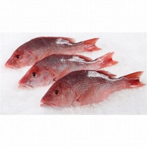 Fresh red fish(4 small pieces)