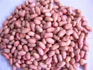 Fresh groundnut(1 cup)