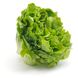 Lettuce(3/4 pcs)