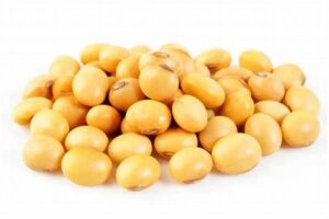 Soya beans(1 cup)