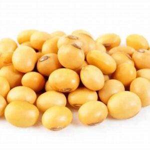 Soya beans(1 cup)