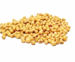 Soya beans(1 olonka)