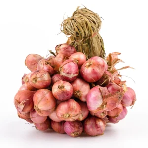 Shallot(big bundle)