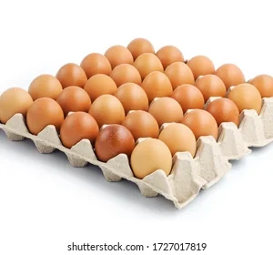 Egg(medium size)crate