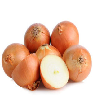 Onion(1 olonka)