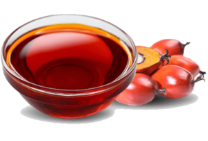 Palm Oil