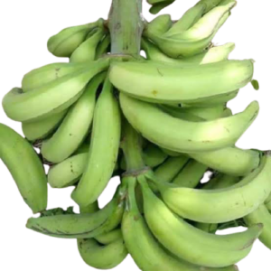 Plantain(apem) 1 big bunch