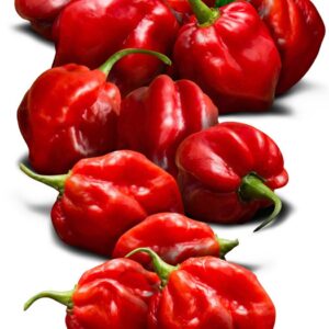 Red hebenaro pepper(1 cup)