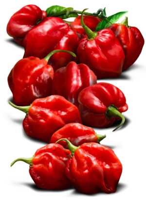 Red hebenaro pepper(1 cup)