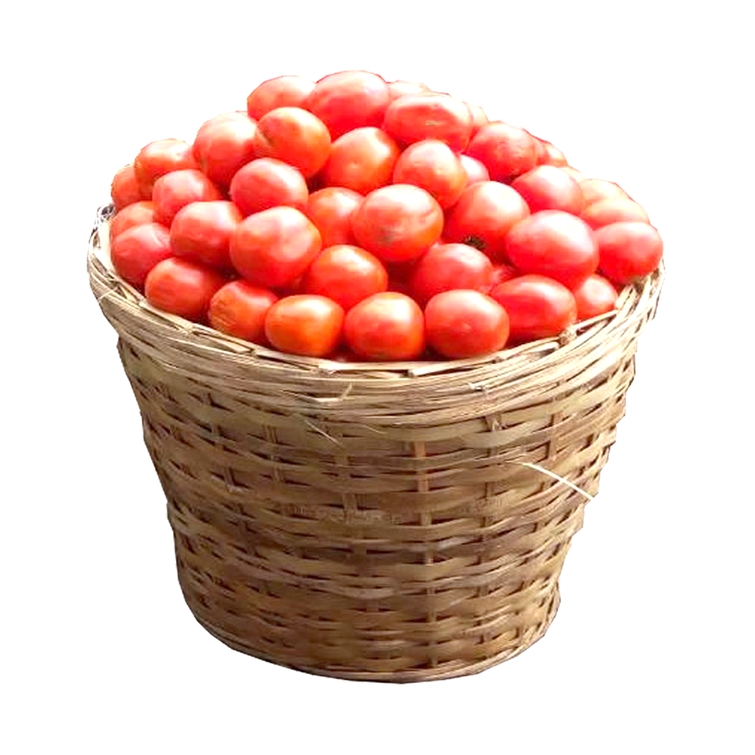 Tomatoes (1 bucket)
