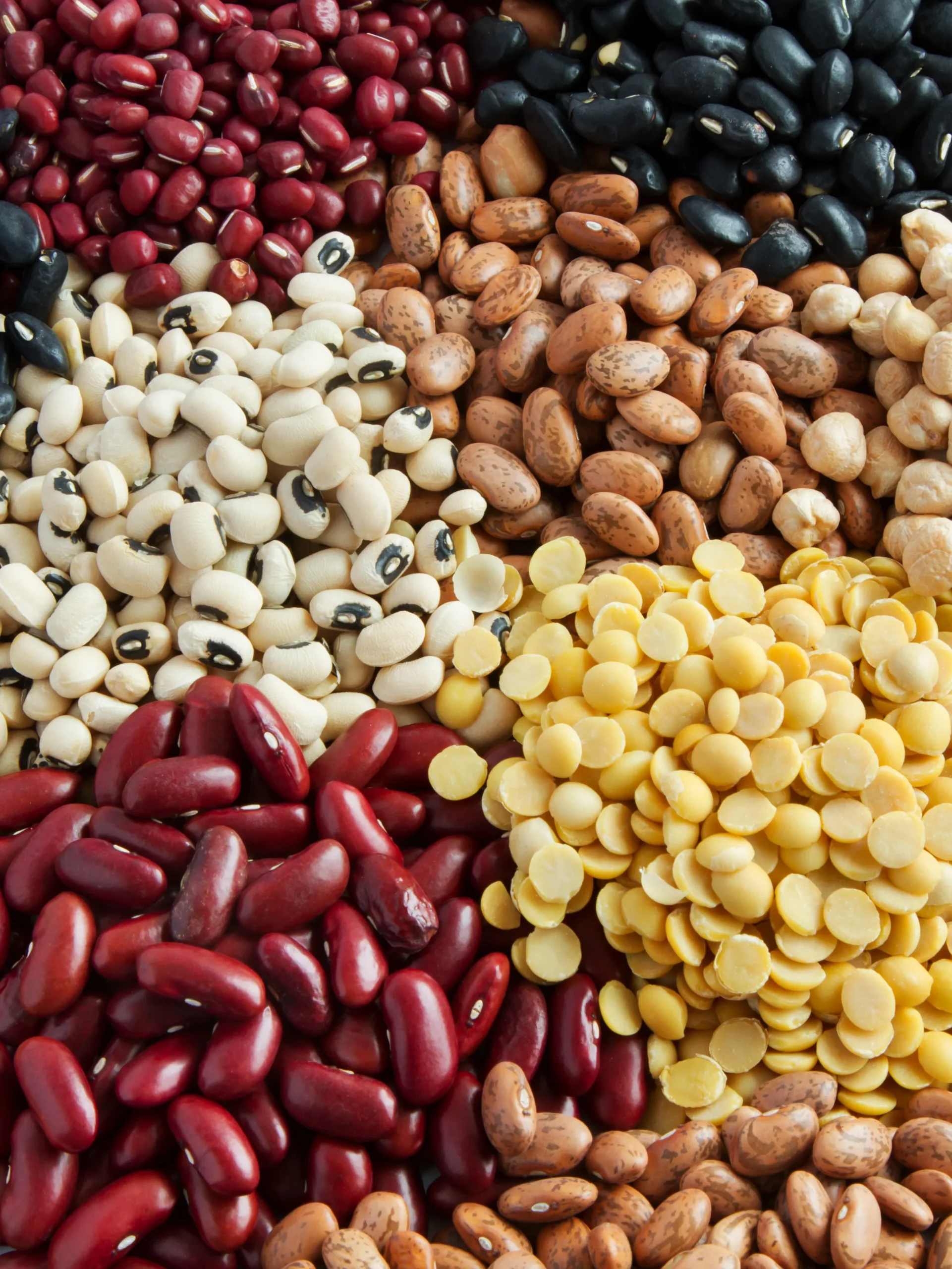 Legumes