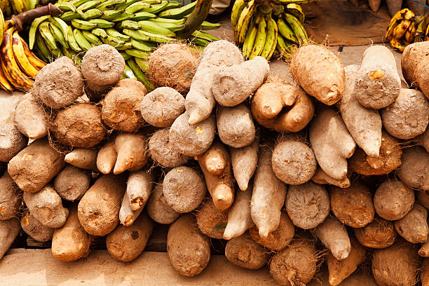 Yams And Plantains Photographed At An Outdoor Market In Accra Ghana