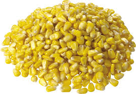 Yellow corn (1 olonka)